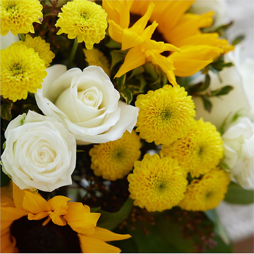 Luminous Morning Bouquet – QUASTHOFF'S FLOWERS, River Grove IL