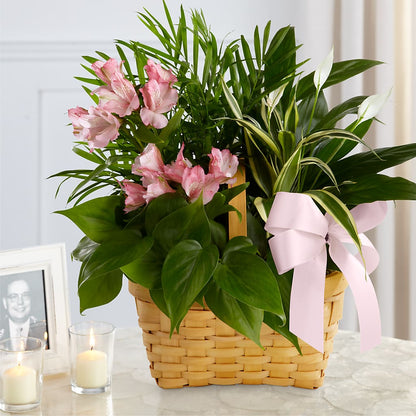 Living Spirit Dishgarden – QUASTHOFF'S FLOWERS, River Grove IL