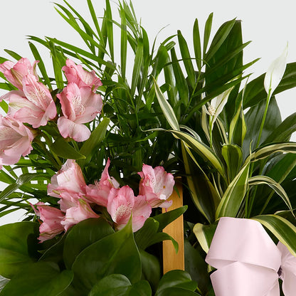Living Spirit Dishgarden – QUASTHOFF'S FLOWERS, River Grove IL