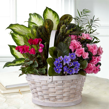 Peaceful Garden Planter – QUASTHOFF'S FLOWERS, River Grove IL