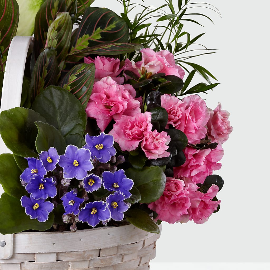 Peaceful Garden Planter – QUASTHOFF'S FLOWERS, River Grove IL