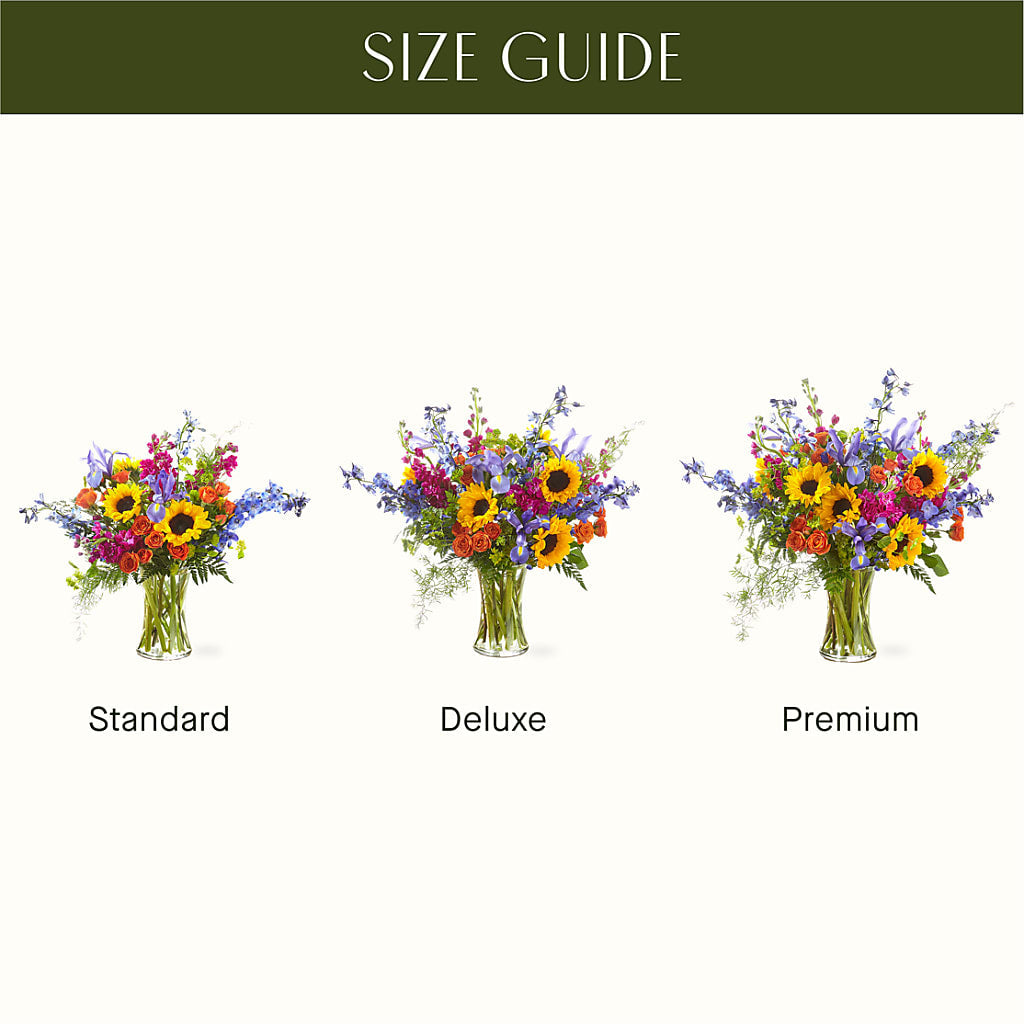 Rays of Life Bouquet – QUASTHOFF'S FLOWERS, River Grove IL