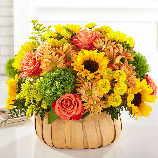 Harvest Sunflower Basket – QUASTHOFF'S FLOWERS, River Grove IL