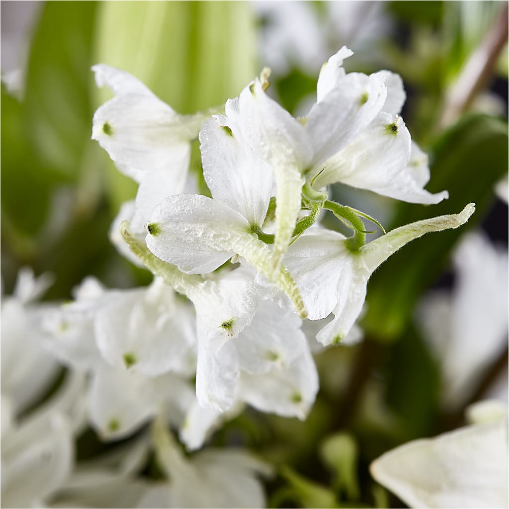 Classic Ivory – A Florist Original – QUASTHOFF'S FLOWERS, River Grove IL