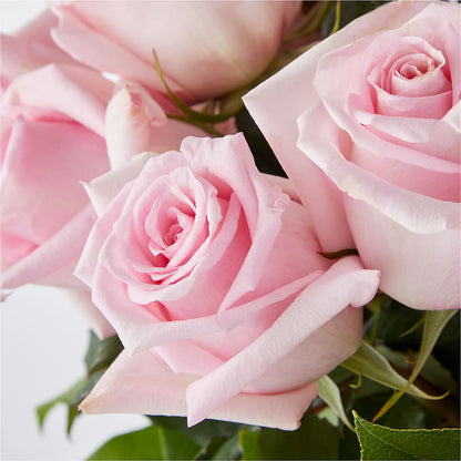 Picture Perfect Pink Rose Bouquet – QUASTHOFF'S FLOWERS, River Grove IL