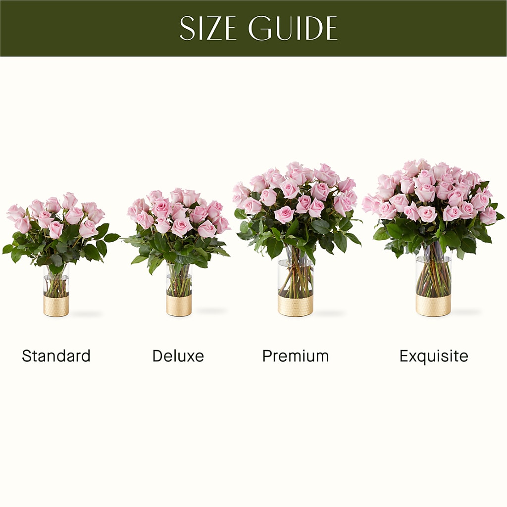 Picture Perfect Pink Rose Bouquet – QUASTHOFF'S FLOWERS, River Grove IL