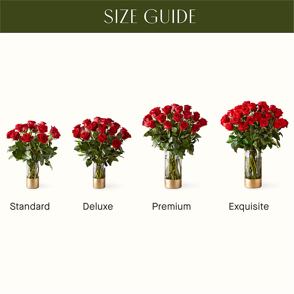 Classic Love Red Rose Bouquet – QUASTHOFF'S FLOWERS, River Grove IL