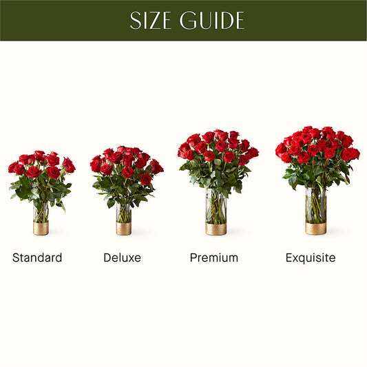 Classic Love Red Rose Bouquet – QUASTHOFF'S FLOWERS, River Grove IL