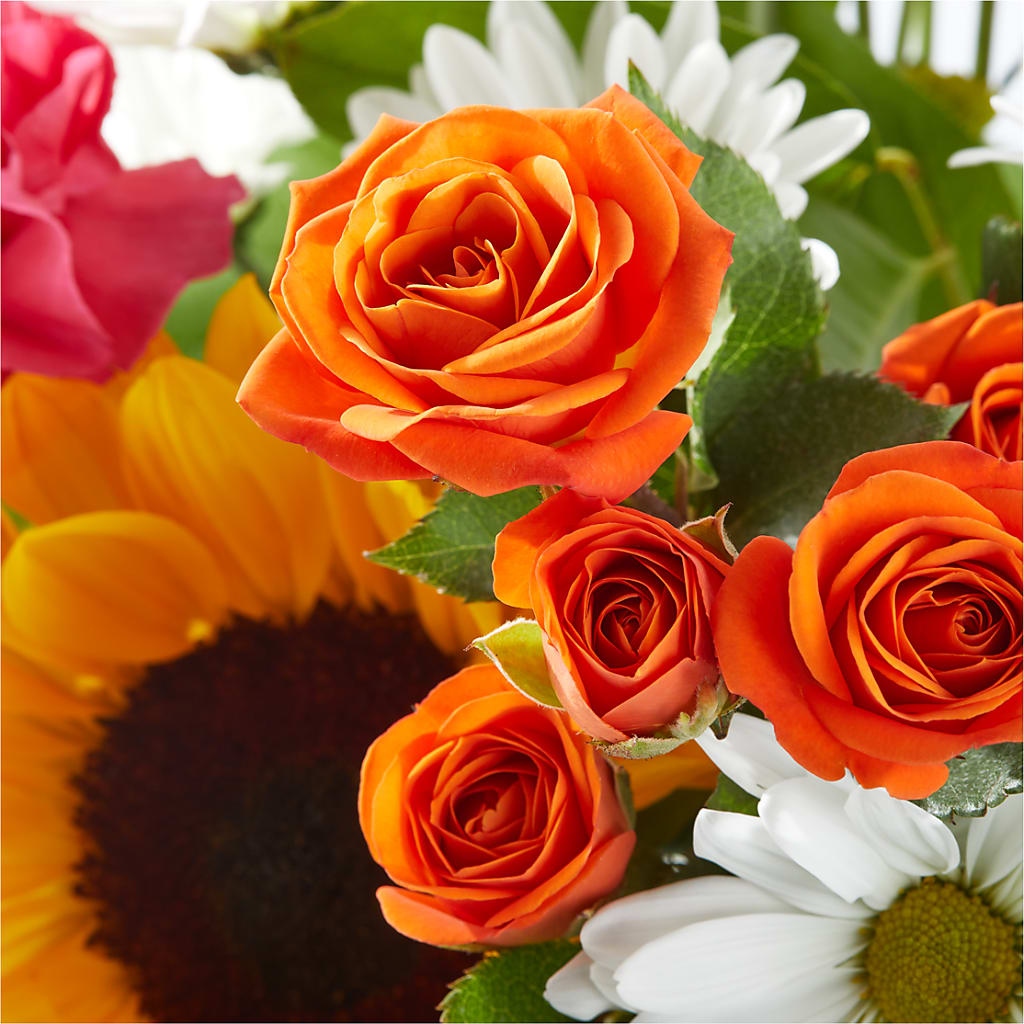 Sun-drenched Blooms Bouquet – QUASTHOFF'S FLOWERS, River Grove IL