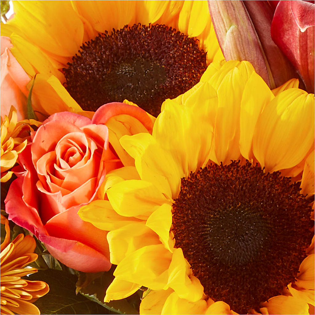 Acorn Lane Bouquet – QUASTHOFF'S FLOWERS, River Grove IL