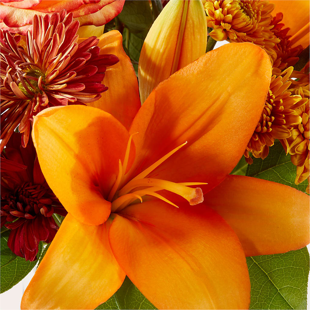 Autumnal Aroma Bouquet – QUASTHOFF'S FLOWERS, River Grove IL