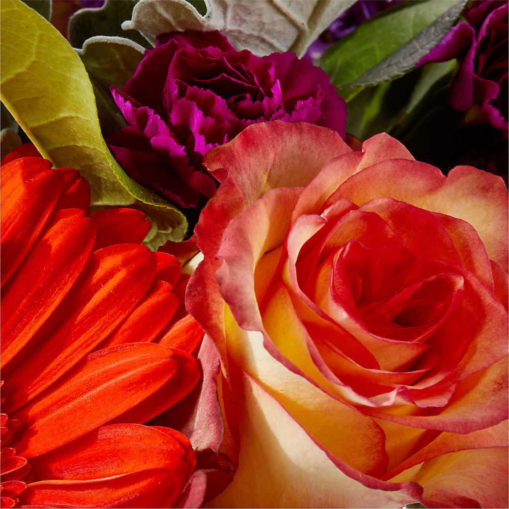 Sangria Bouquet – QUASTHOFF'S FLOWERS, River Grove IL