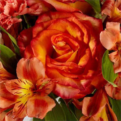 Apricot Glow Bouquet – QUASTHOFF'S FLOWERS, River Grove IL