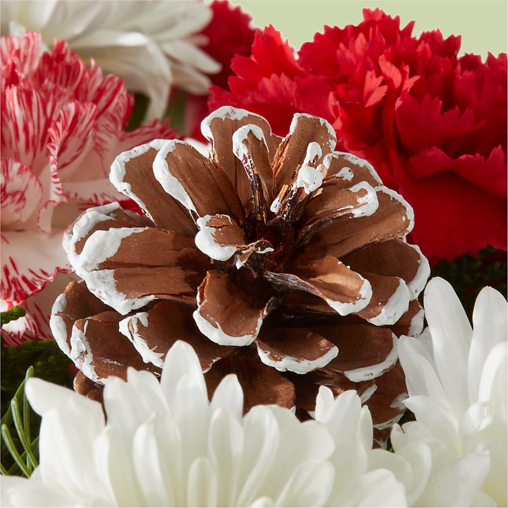 Candy Cane Lane Bouquet – QUASTHOFF'S FLOWERS, River Grove IL