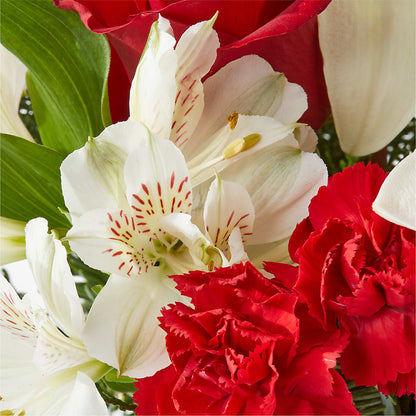 Holiday Season Bouquet – QUASTHOFF'S FLOWERS, River Grove IL