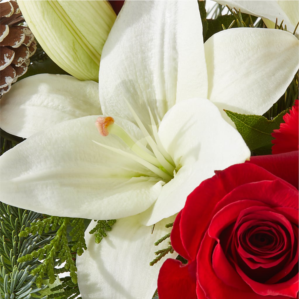 Oh So Jolly Bouquet – QUASTHOFF'S FLOWERS, River Grove IL