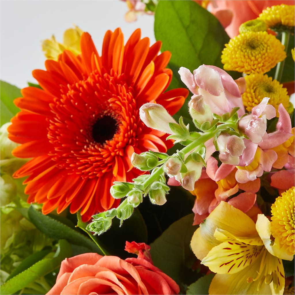 Autumn Sunshine Bouquet – QUASTHOFF'S FLOWERS, River Grove IL