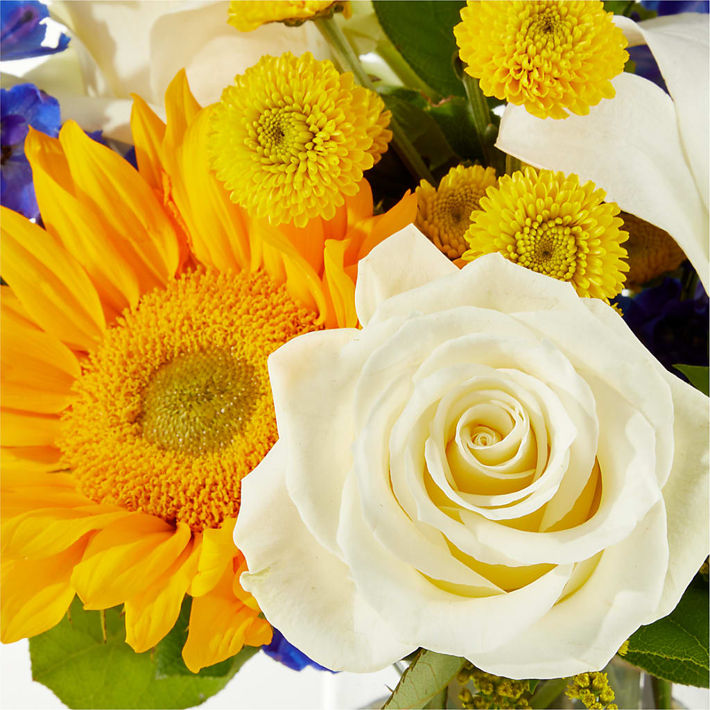 Stargazing Bouquet – QUASTHOFF'S FLOWERS, River Grove IL