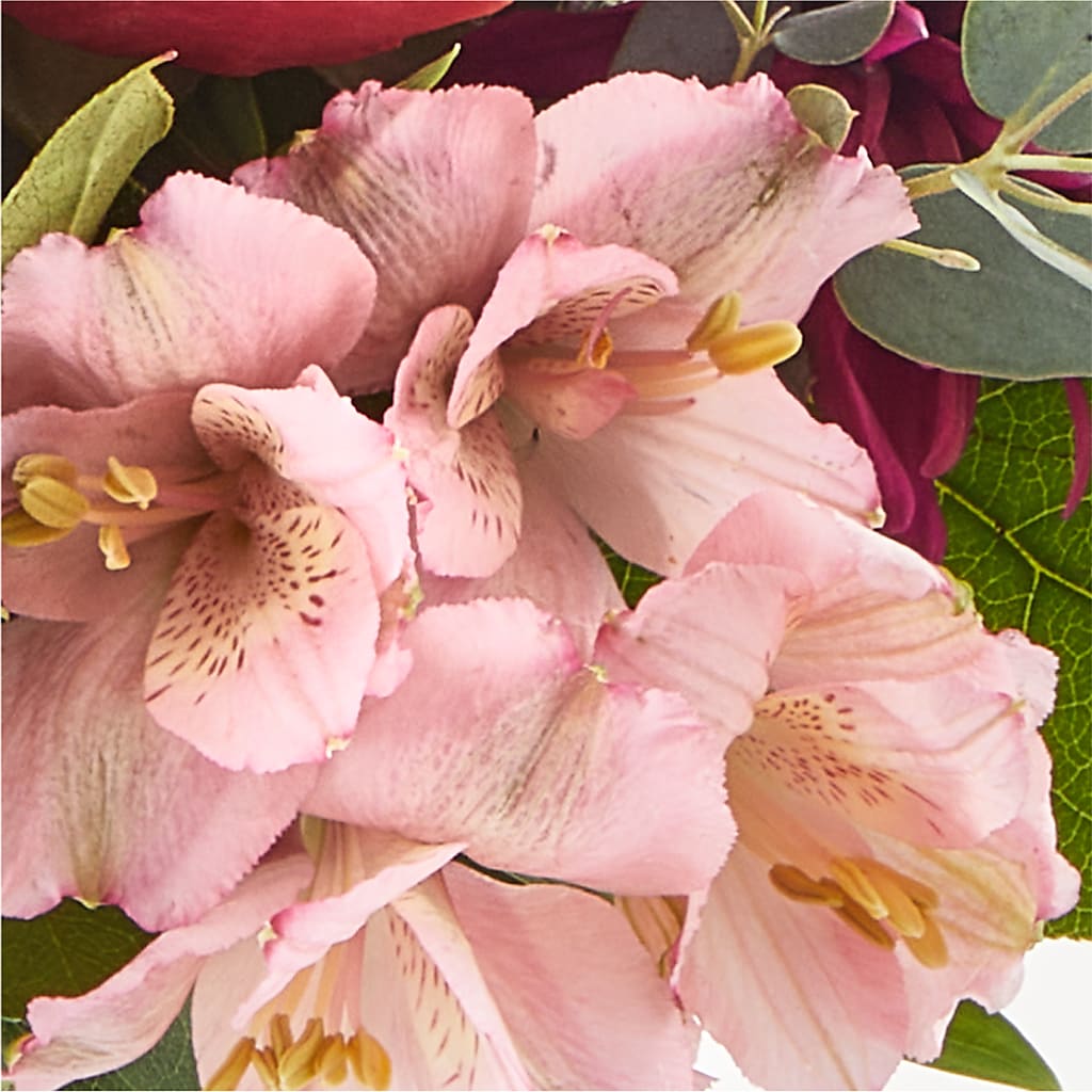 Berry Cobbler Bouquet – QUASTHOFF'S FLOWERS, River Grove IL