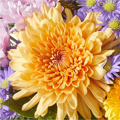 Countryside Bouquet – QUASTHOFF'S FLOWERS, River Grove IL