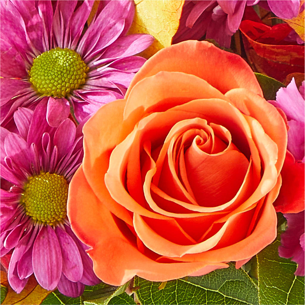 Mum's the Word Bouquet – QUASTHOFF'S FLOWERS, River Grove IL