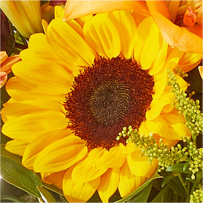 Seasons Change Bouquet – QUASTHOFF'S FLOWERS, River Grove IL
