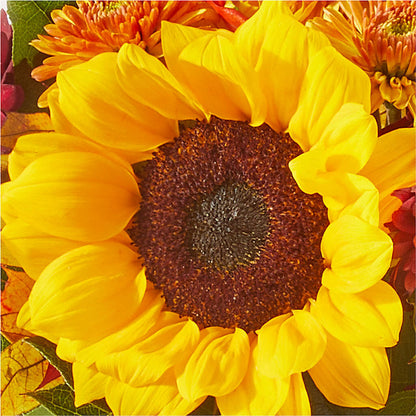Sunny Side Bouquet – QUASTHOFF'S FLOWERS, River Grove IL