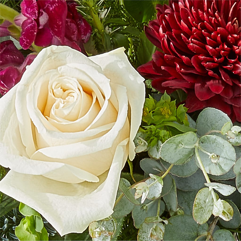Cranberry Fizz Bouquet – QUASTHOFF'S FLOWERS, River Grove IL