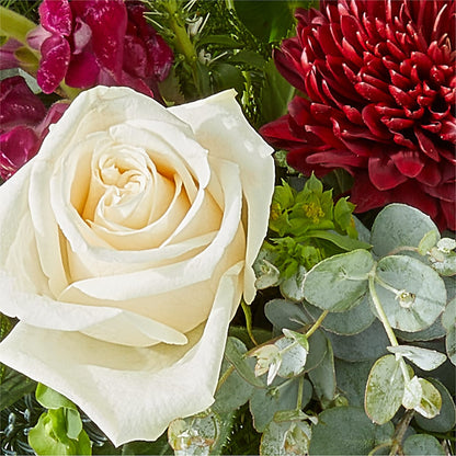 Cranberry Fizz Bouquet – QUASTHOFF'S FLOWERS, River Grove IL