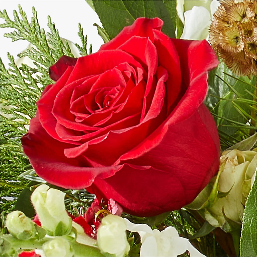 Deck the Halls Bouquet – QUASTHOFF'S FLOWERS, River Grove IL