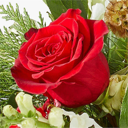 Deck the Halls Bouquet – QUASTHOFF'S FLOWERS, River Grove IL