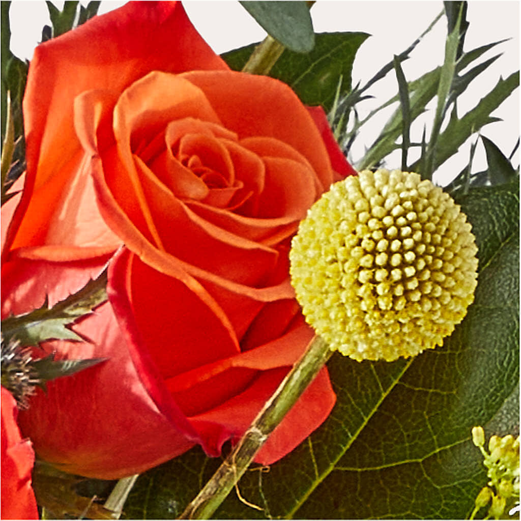 Disco Bouquet – QUASTHOFF'S FLOWERS, River Grove IL