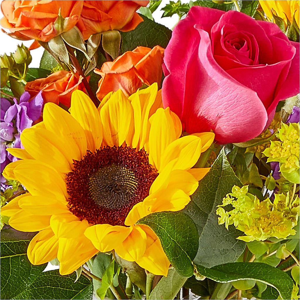 Vibrant Greetings Bouquet – QUASTHOFF'S FLOWERS, River Grove IL