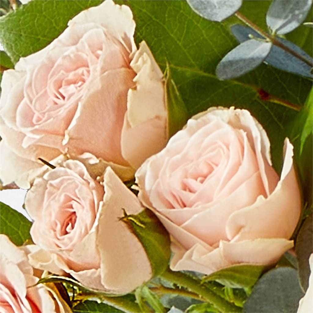 Inspired Bouquet – QUASTHOFF'S FLOWERS, River Grove IL