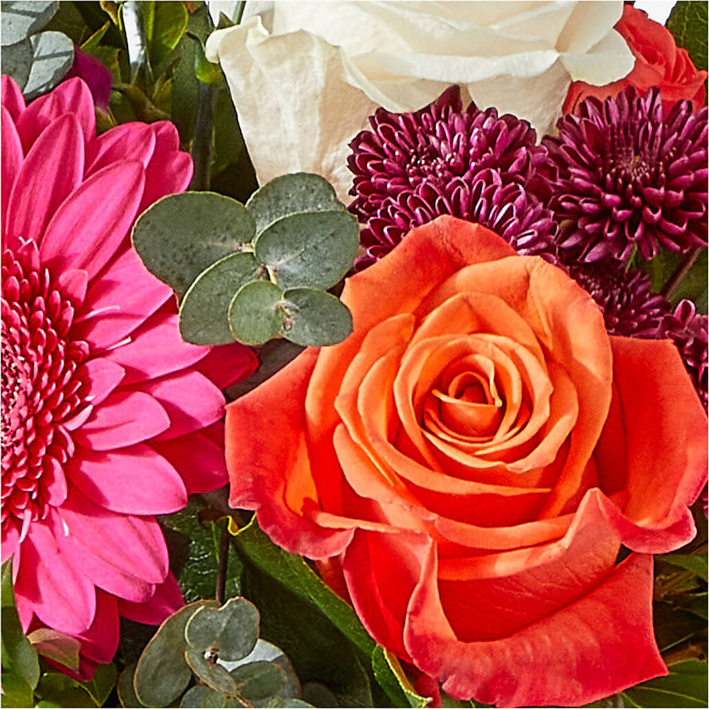 Smell the Roses Bouquet – QUASTHOFF'S FLOWERS, River Grove IL