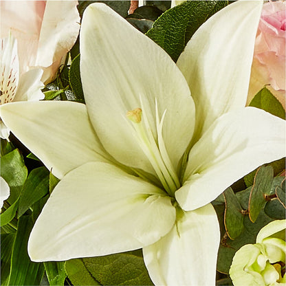 Ballet Slippers Bouquet – QUASTHOFF'S FLOWERS, River Grove IL
