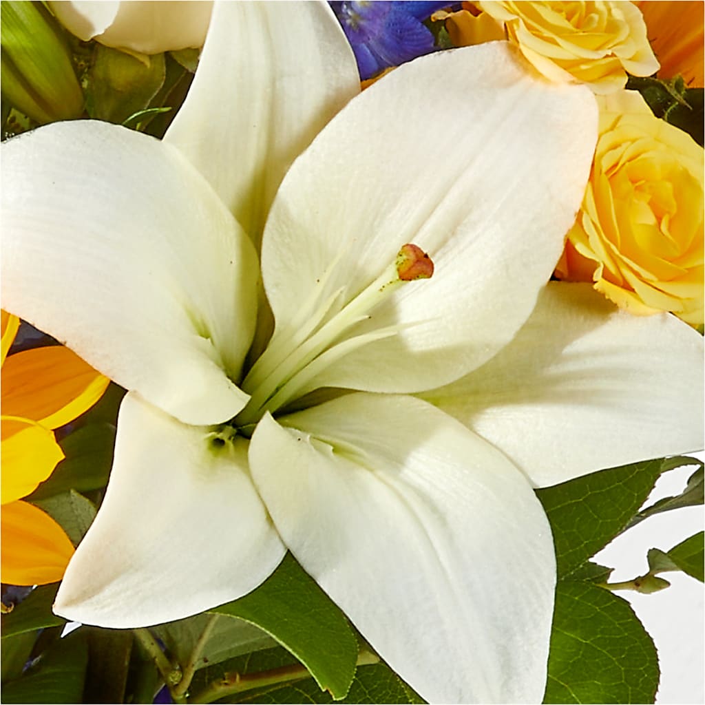 Wonderfully Sunny Bouquet – QUASTHOFF'S FLOWERS, River Grove IL