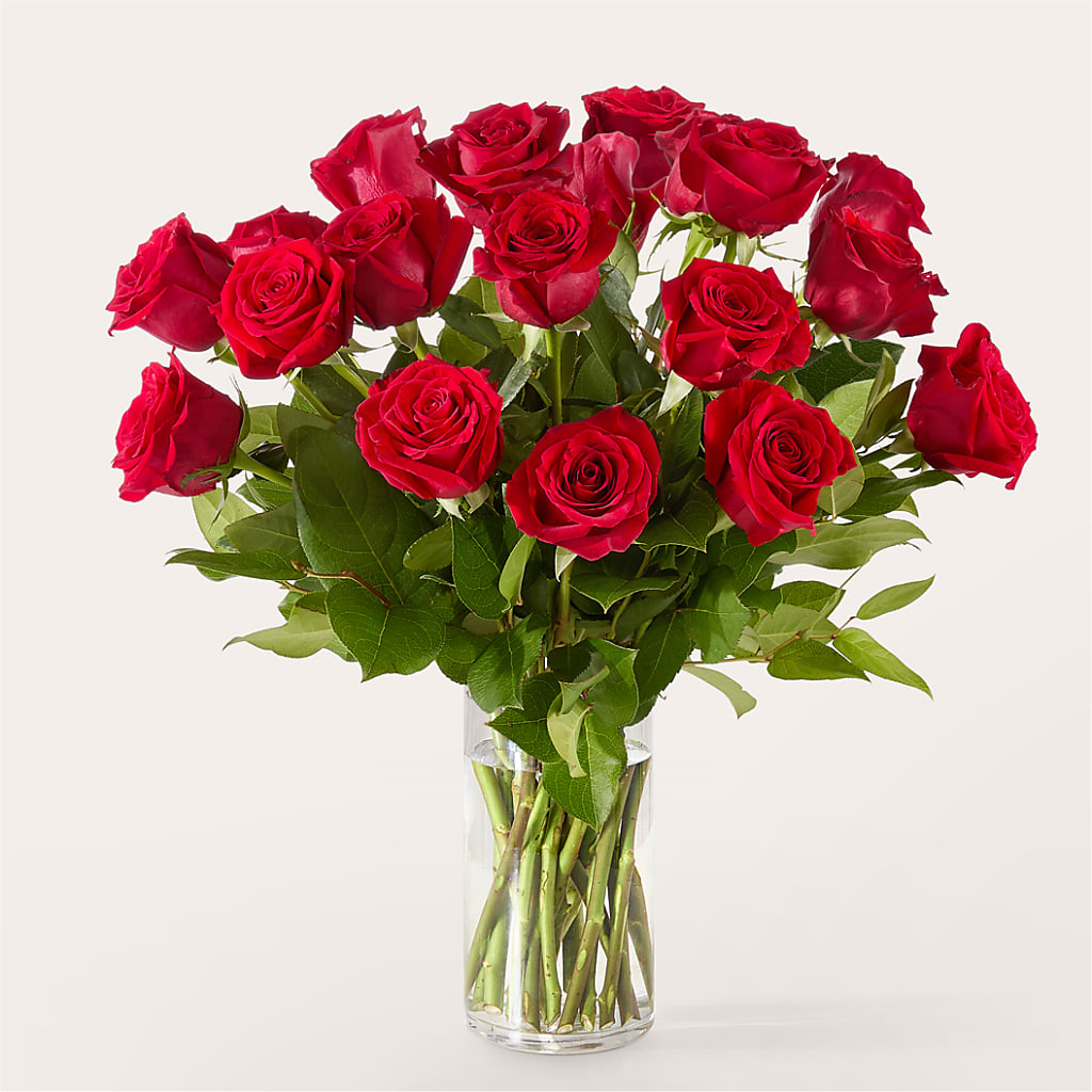 The One Red Rose Bouquet – QUASTHOFF'S FLOWERS, River Grove IL