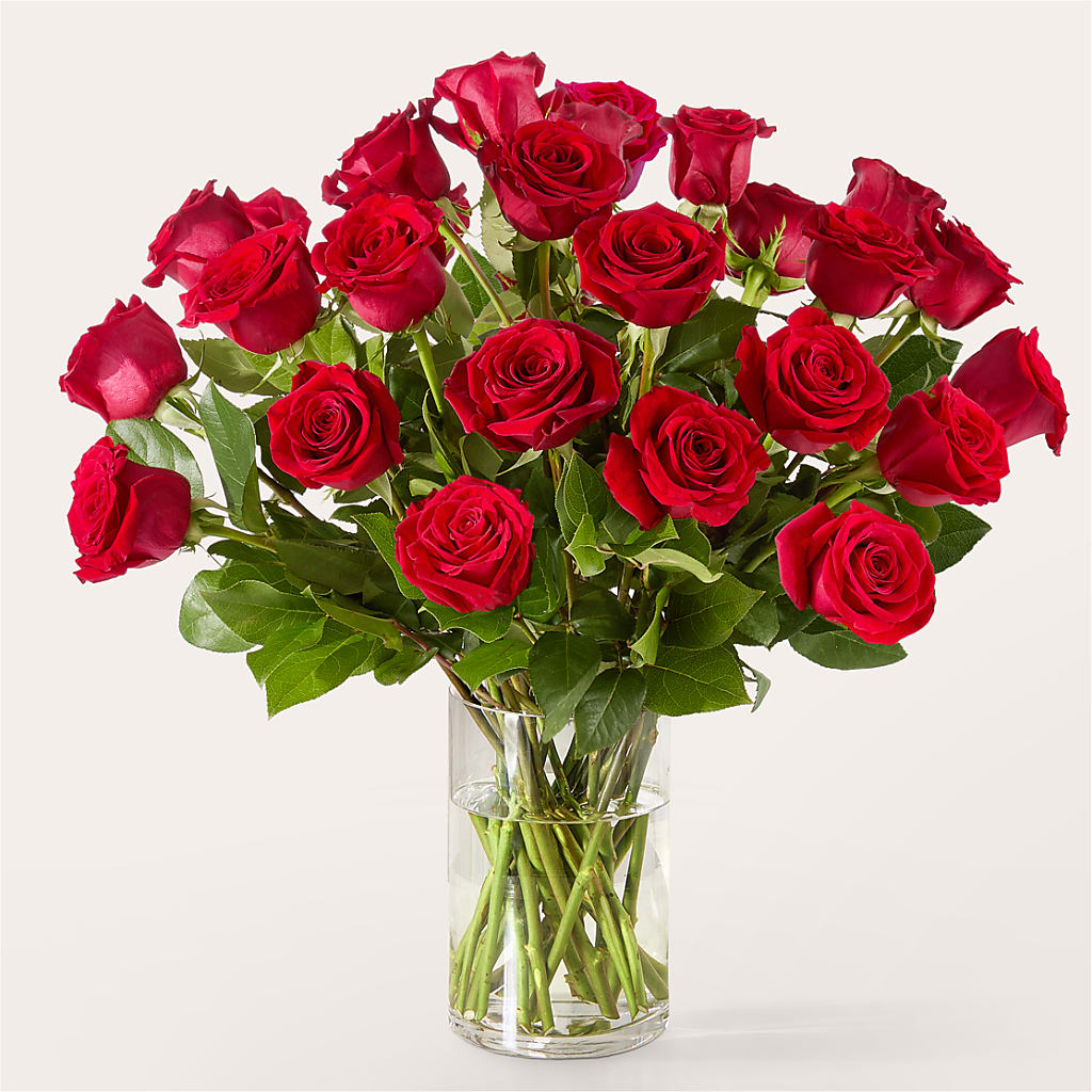 The One Red Rose Bouquet – QUASTHOFF'S FLOWERS, River Grove IL