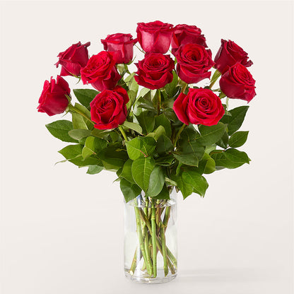 The One Red Rose Bouquet – QUASTHOFF'S FLOWERS, River Grove IL