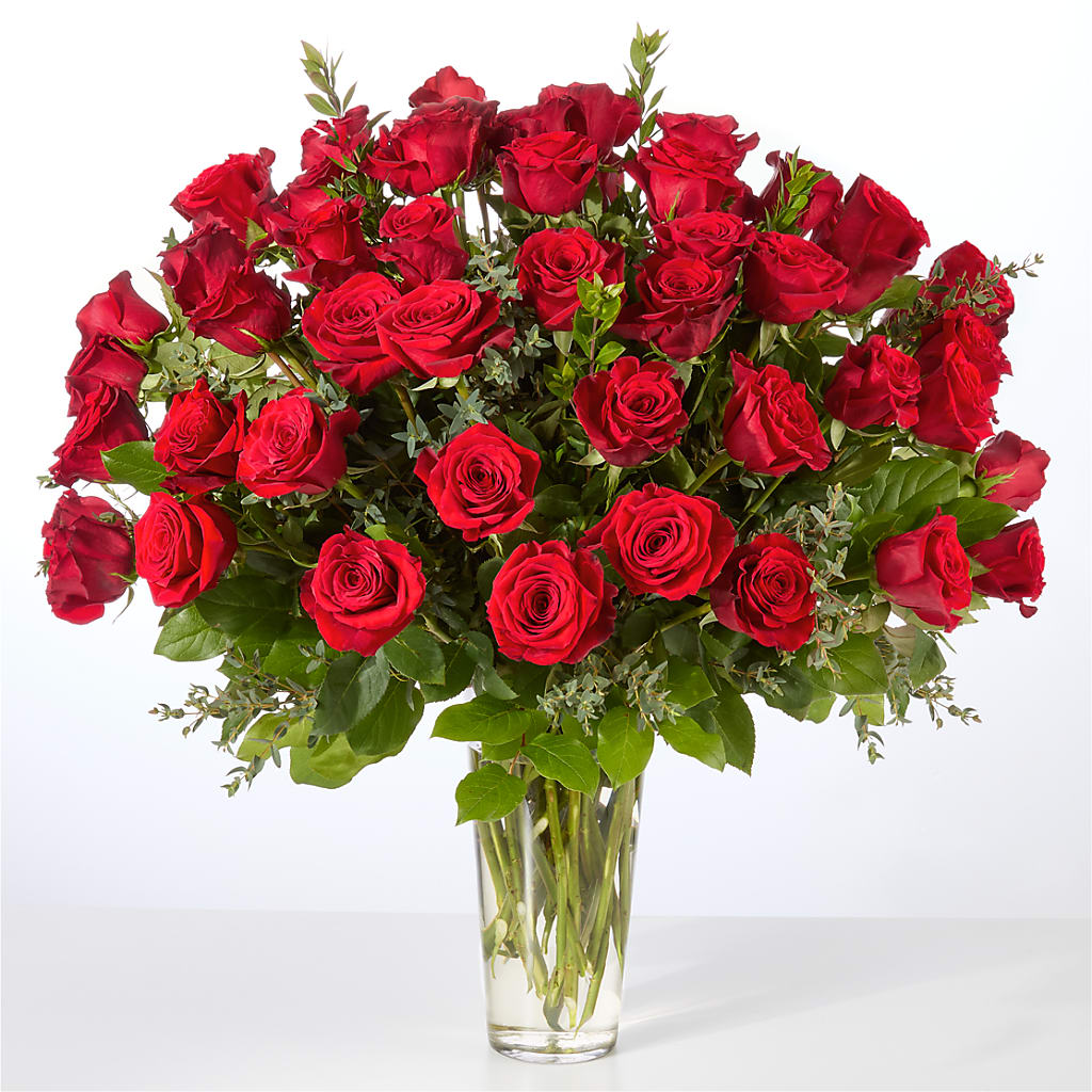 Forever Yours Fifty Stem Red Rose Bouquet – QUASTHOFF'S FLOWERS, River Grove IL