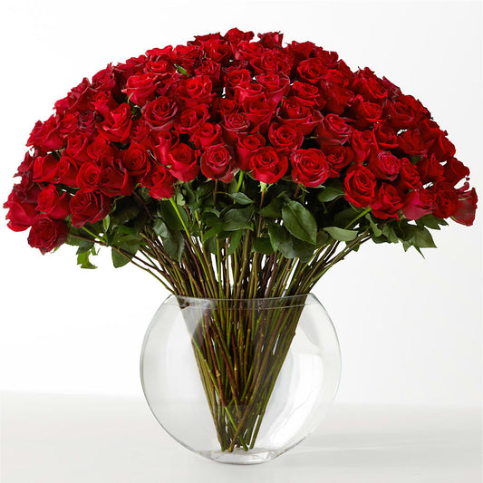 The Idealist – QUASTHOFF'S FLOWERS, River Grove IL