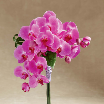 Glorious Bouquet – QUASTHOFF'S FLOWERS, River Grove IL