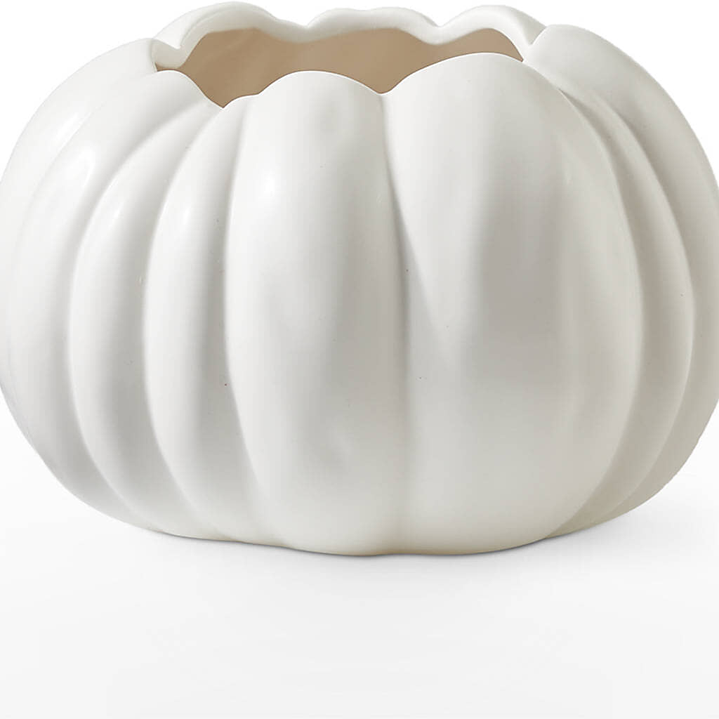 Autumn Air Pumpkin Bouquet – QUASTHOFF'S FLOWERS, River Grove IL